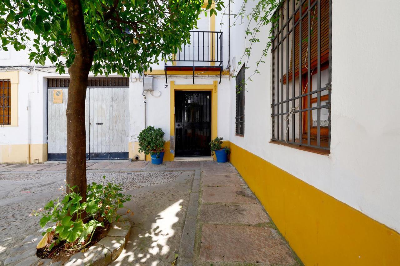 Apartament San Basilio, Parking Incluido Junto Al Casco Historico Kordoba Zewnętrze zdjęcie